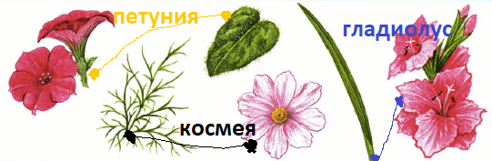 Решение рисунок 1